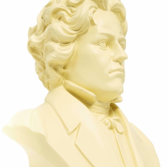 The tortured musician - Picture 2 of 5